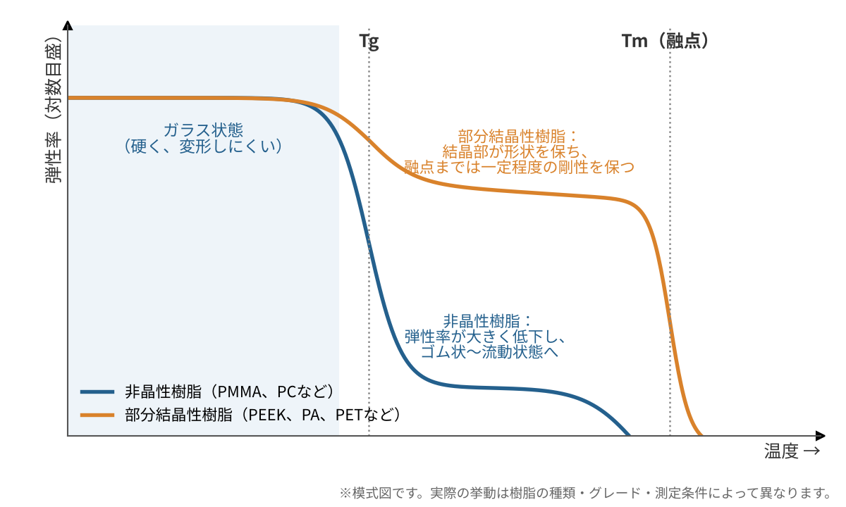 温度と弾性率の関係の模式図。非晶性樹脂はTgで弾性率が大きく低下し、部分結晶性樹脂はTgで一部低下した後、融点まで一定程度の剛性を保つ