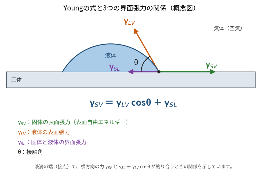液滴の端(接点)で、固体の表面張力γSV、液体の表面張力γLV、固体と液体の界面張力γSLが釣り合う様子とYoungの式を示した概念図